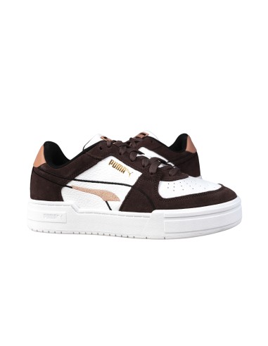 Puma ca pro choco